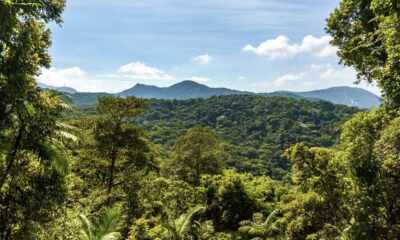 Carbono Retido de Biodiversidade - Serviços Ambientais - Crédito da Foto Divulgação
